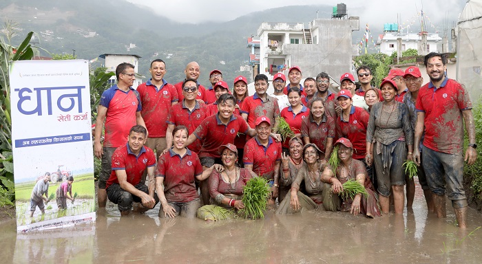 ग्लोबल आइएमई बैंकद्वारा राष्ट्रिय धान दिवसको अवसरमा ‘धान खेती कर्जा’ सार्वजनिक